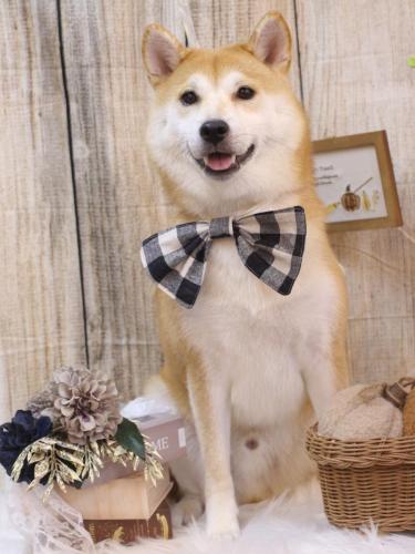 20241022リョウスケくん